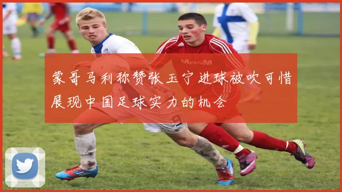 蒙哥马利称赞张玉宁进球被吹可惜展现中国足球实力的机会