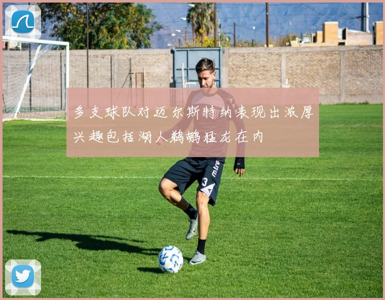 多支球队对迈尔斯特纳表现出浓厚兴趣包括湖人鹈鹕猛龙在内